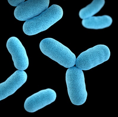 What is listeria?