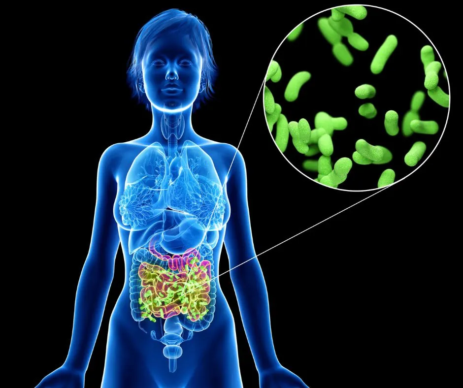 Methanogens: tiny factory workers in your gut
