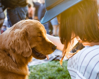 Petting your dog boosts your brain